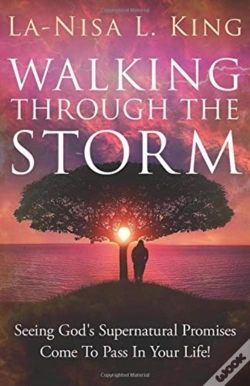 Capa do artigo Walking Through The Storm
