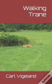 Capa do artigo Walking Trane