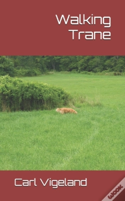 Capa do artigo Walking Trane