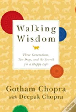 Capa do artigo Walking Wisdom