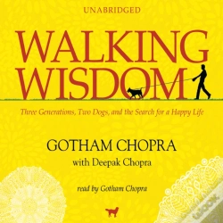Capa do artigo Walking Wisdom