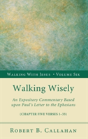 Walking Wisely - Preview