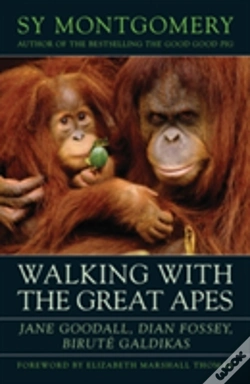 Capa do artigo Walking With The Great Apes