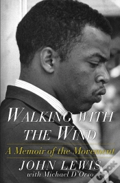Capa do artigo Walking With The Wind