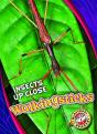 Walkingsticks - Preview