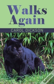 Capa do artigo Walks Again