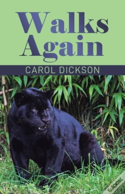 Capa do artigo Walks Again
