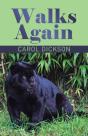 Walks Again - Preview