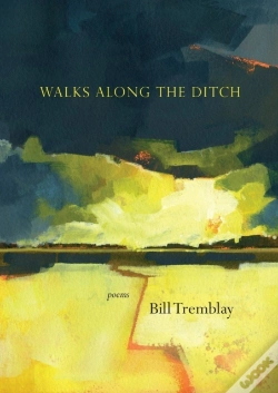 Capa do artigo Walks Along The Ditch
