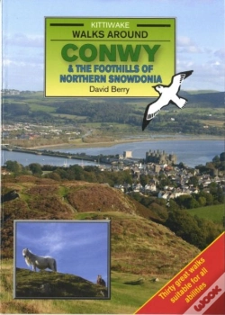 Capa do artigo Walks Around Conwy