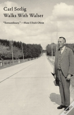 Capa do artigo Walks With Walser