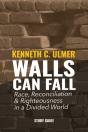 Walls Can Fall - Preview