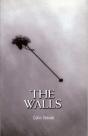 Walls - Preview