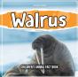 Walrus - Preview