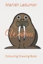 Walrus - Preview