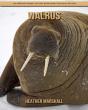 Walrus - Preview