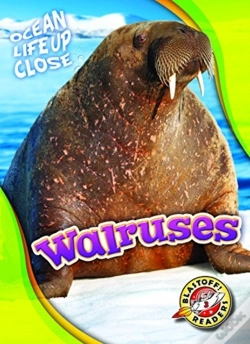 Capa do artigo Walruses
