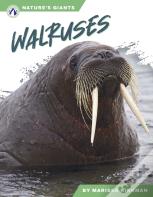 Walruses