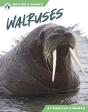 Walruses - Preview