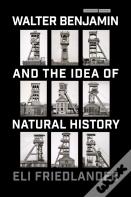 Walter Benjamin And The Idea Of Natural History