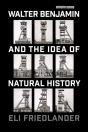 Walter Benjamin And The Idea Of Natural History - Preview
