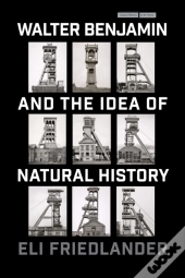 Walter Benjamin And The Idea Of Natural History