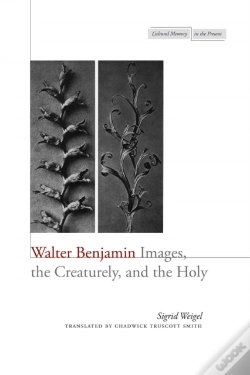 Capa do artigo Walter Benjamin