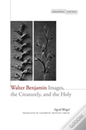 Capa do artigo Walter Benjamin