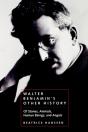 Walter Benjamin'S Other History - Preview
