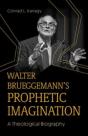 Walter Brueggemann'S Prophetic Imagination - Preview