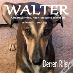 Capa do artigo Walter
