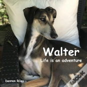 Capa do artigo Walter, Life Is An Adventure