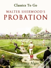 Capa do artigo Walter Sherwood