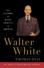 Walter White - Preview