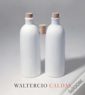 Capa do artigo Waltercio Caldas