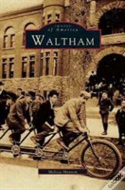 Capa do artigo Waltham
