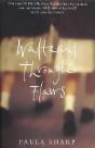 Waltzing Through Flaws - Preview