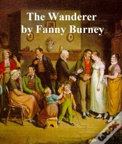 Capa do artigo Wanderer