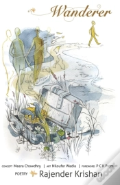 Capa do artigo Wanderer