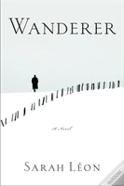 Capa do artigo Wanderer