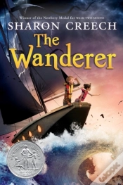 Capa do artigo Wanderer