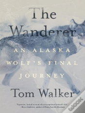 Capa do artigo Wanderer
