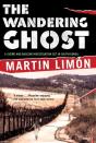 Wandering Ghost - Preview