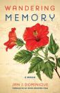 Wandering Memory - Preview