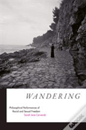 Capa do artigo Wandering