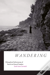 Capa do artigo Wandering