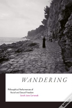 Capa do artigo Wandering
