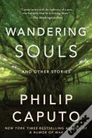 Wandering Souls
