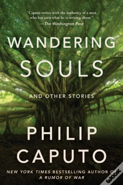 Capa do artigo Wandering Souls