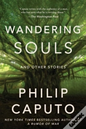 Capa do artigo Wandering Souls